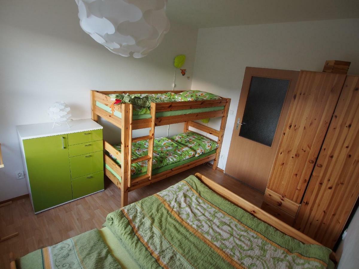 Ferienwohnung Apartman V Destnem Destne v Orlickych horach Exterior foto