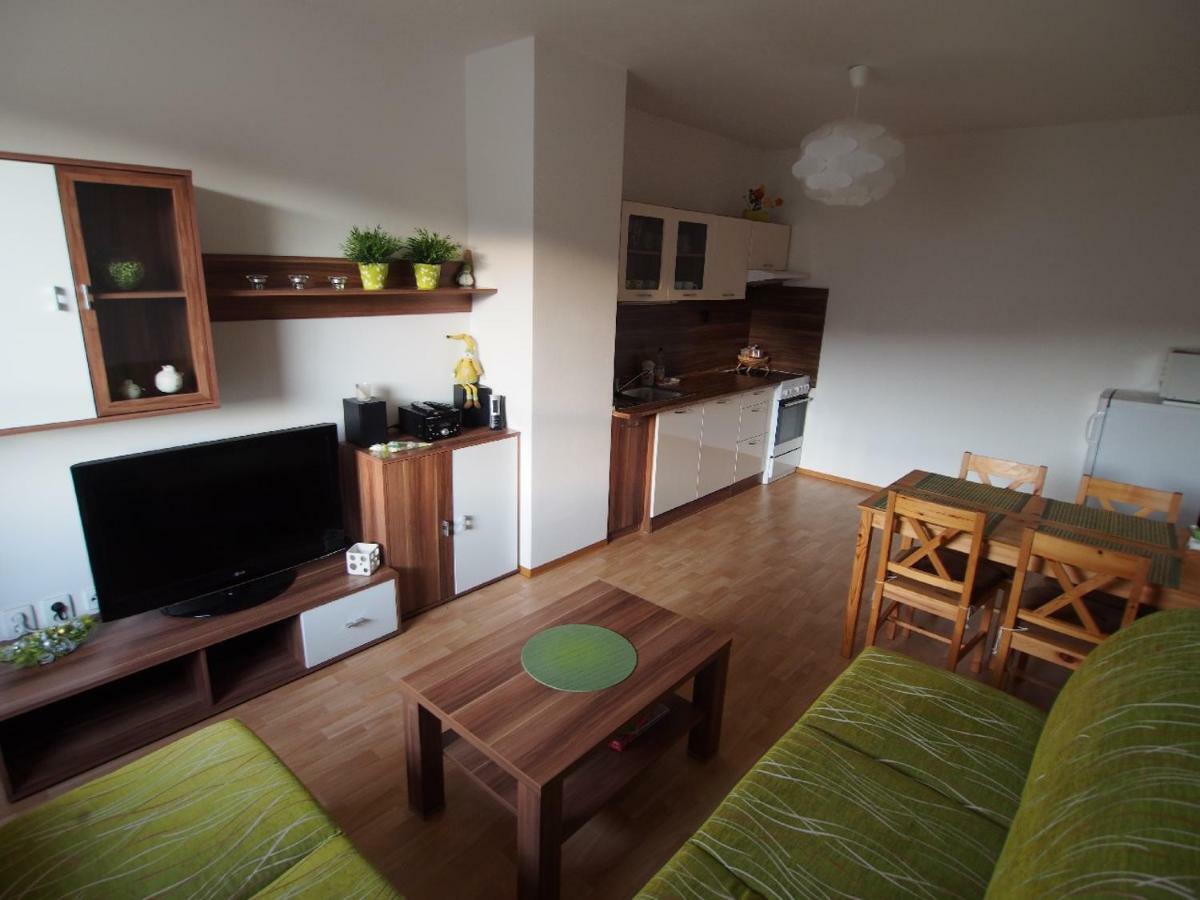 Ferienwohnung Apartman V Destnem Destne v Orlickych horach Exterior foto