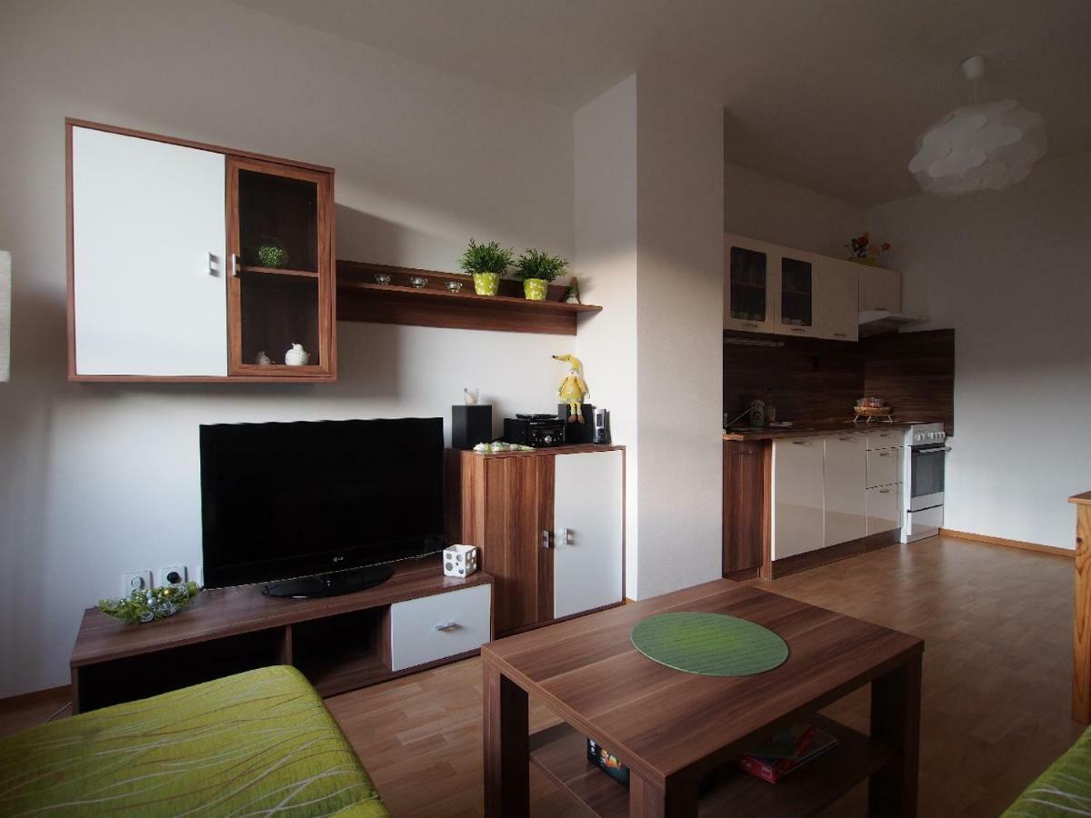 Ferienwohnung Apartman V Destnem Destne v Orlickych horach Exterior foto