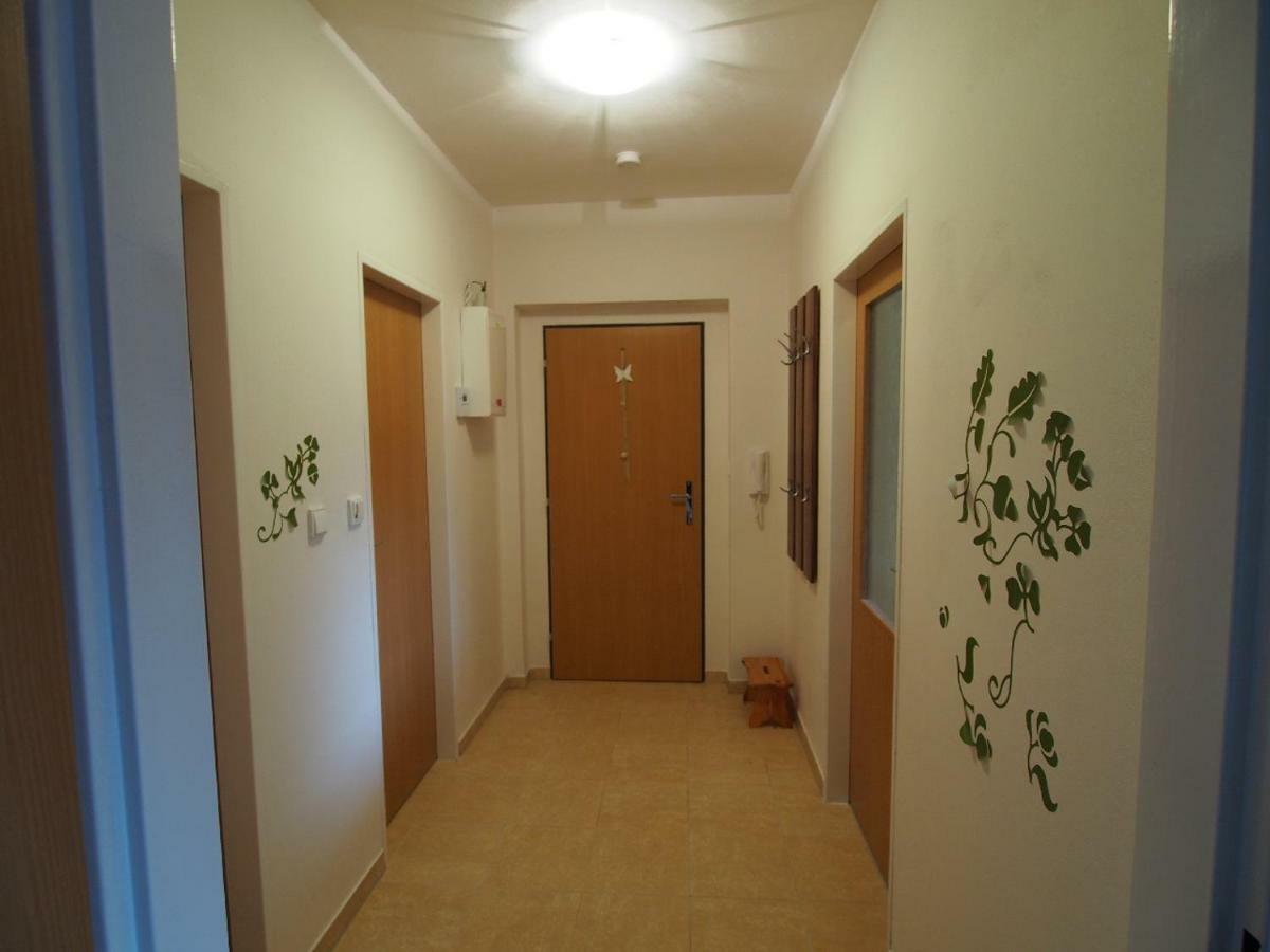 Ferienwohnung Apartman V Destnem Destne v Orlickych horach Exterior foto