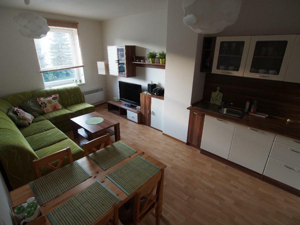 Ferienwohnung Apartman V Destnem Destne v Orlickych horach Exterior foto